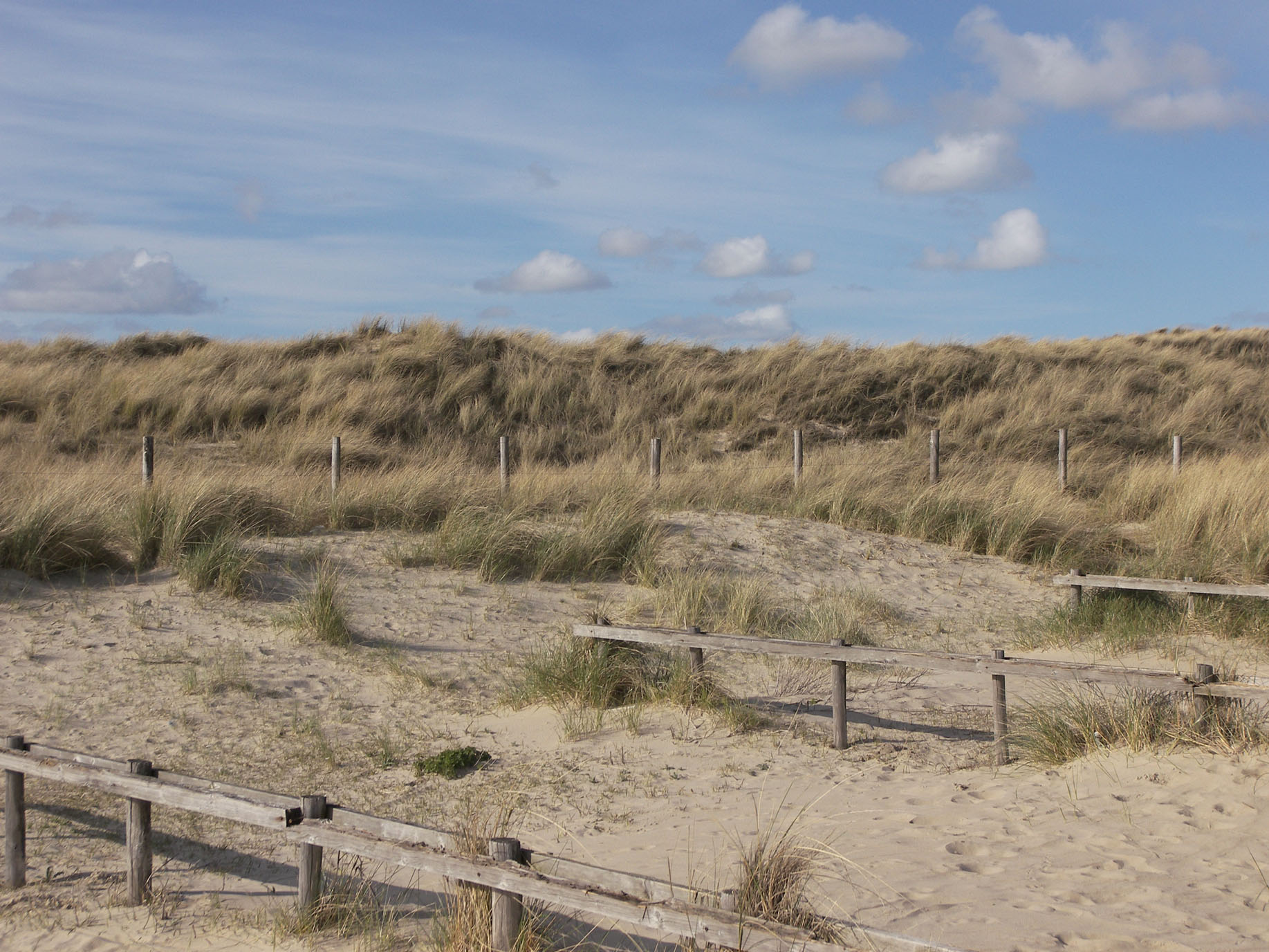 100_1684_Omgeving_2K_Q8 Foto duinen met houten hekken.