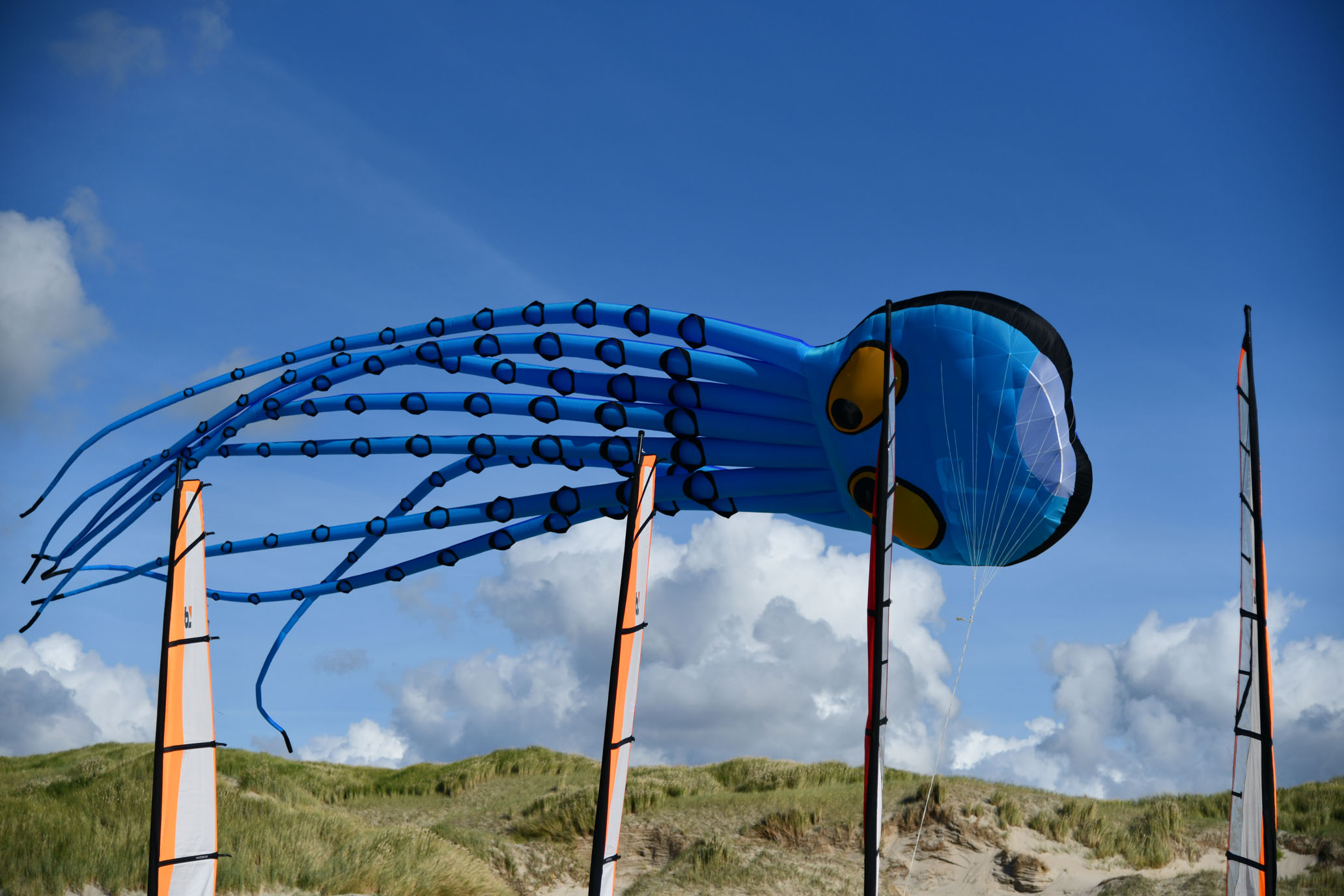 DSC_2259_Omgeving_2K_Q8 Grote blauwe vlieger in de vorm van een inktvis.