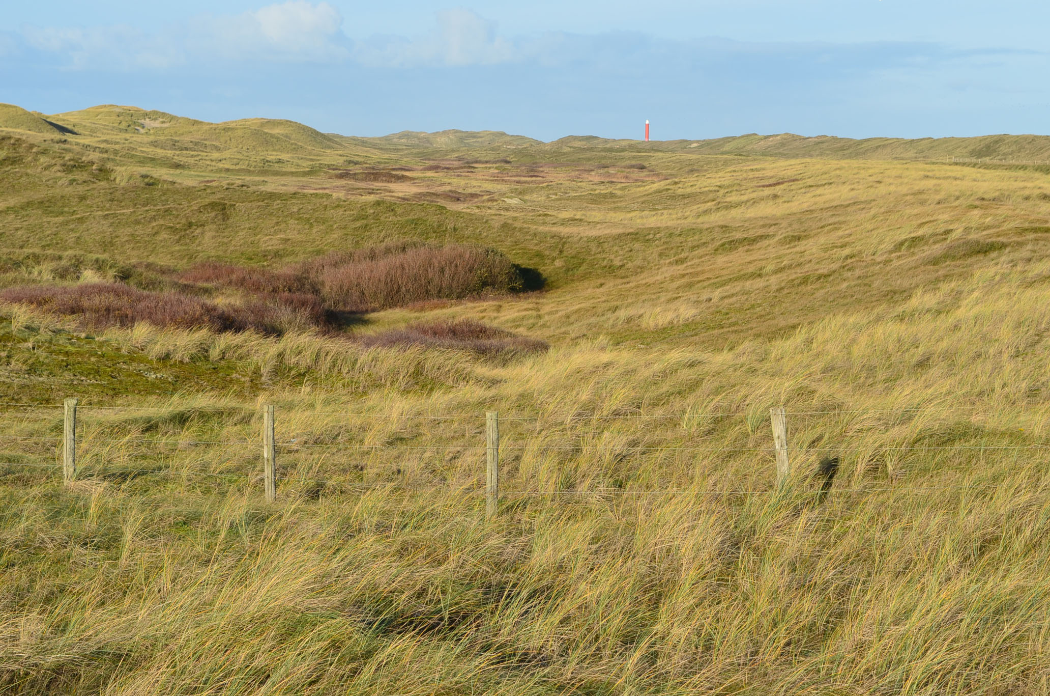 DSC_3383_Omgeving_2K_Q8 Duinen met vuurtoren op de achtergrond